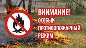 Противопожарный режим Противопожарный режим.